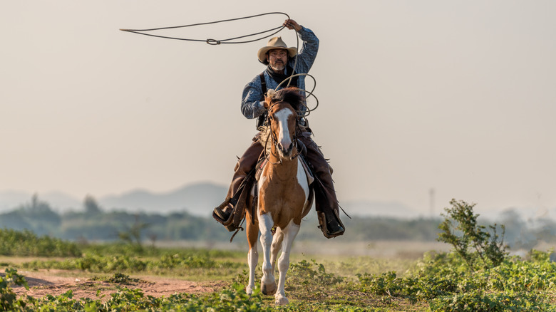 photo of cowboy