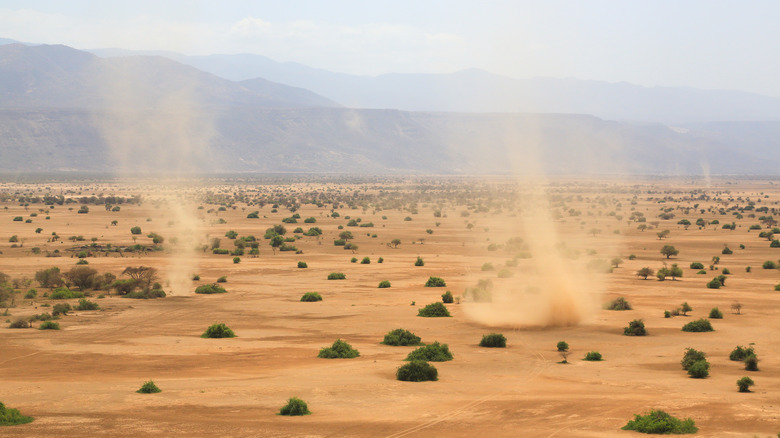 Savannah dust devils