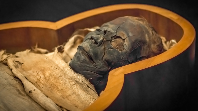 ancient egypt mummy in coffin