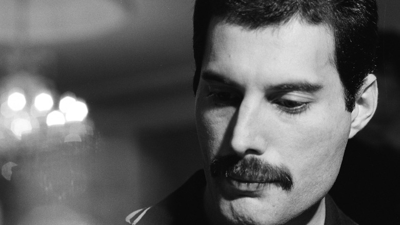 freddie mercury black and white portrait