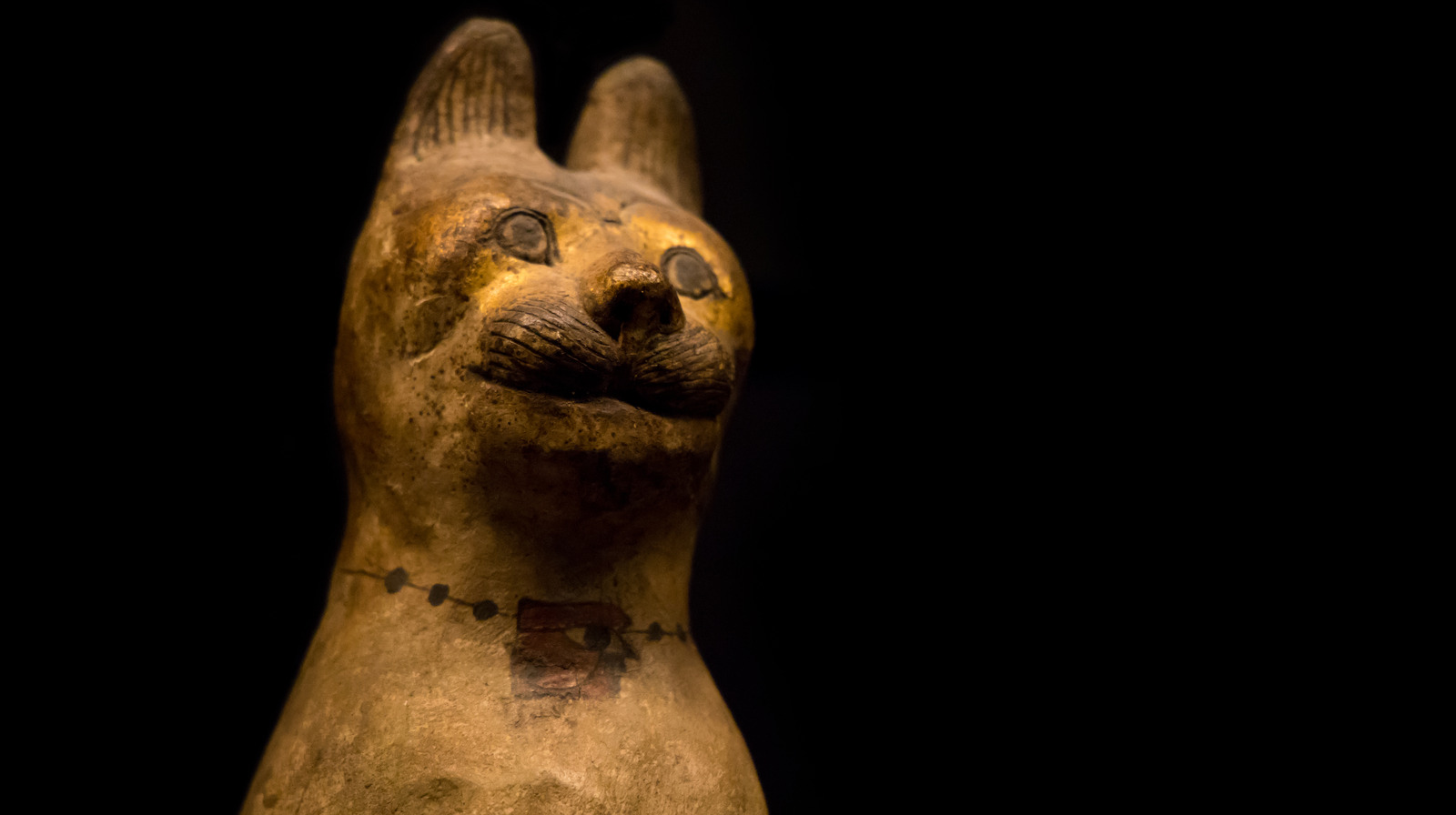 What Happened If You Killed A Cat In Ancient Egypt?