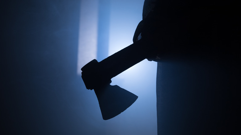 Person holding ax in silhouette