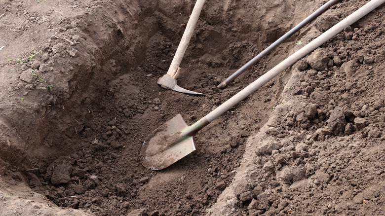 shovel on the ground