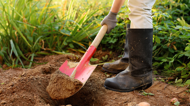 Woman digging 