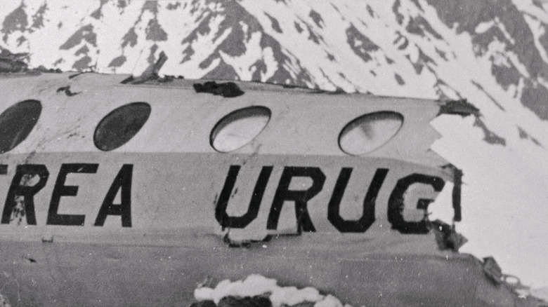Plane crash in Andes mountains