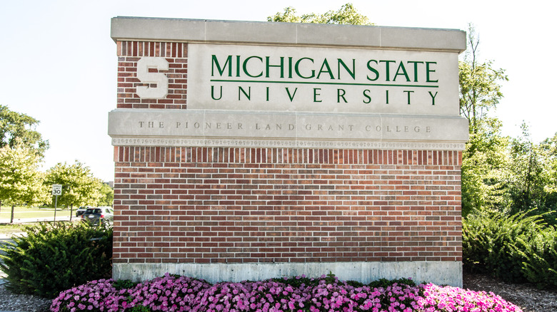 Michigan State University