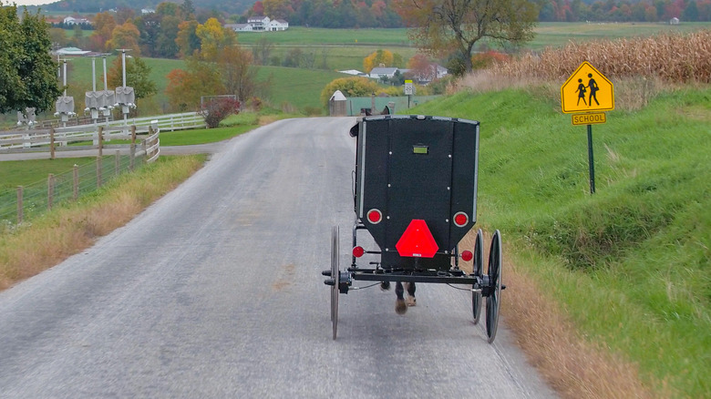 amish buggy in the countryside