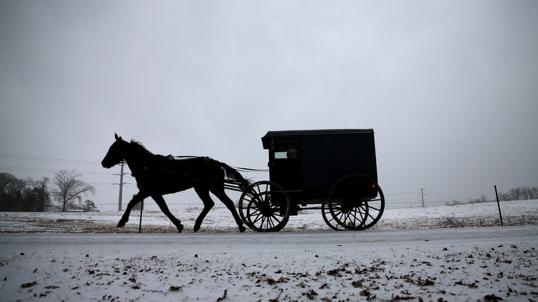 amish buggy in the snow