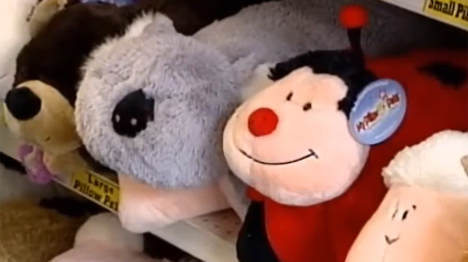 What Happened To Pillow Pets?
