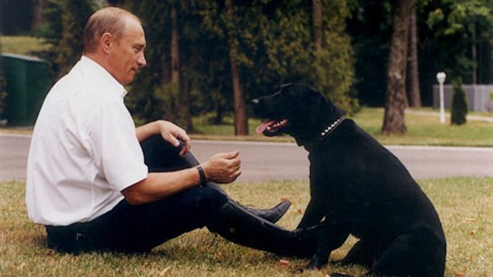 What Happened To Putin’s Famous Black Labrador Retriever, Koni?