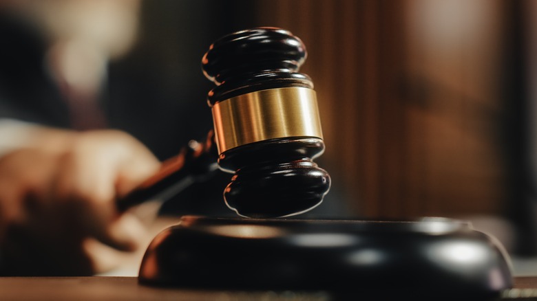 Judge passes the sentence