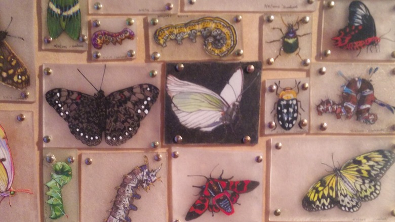 insect-themed Shrinky Dinks