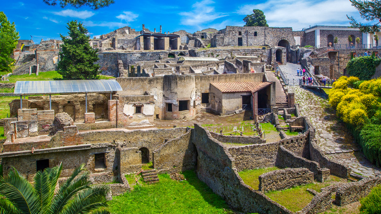 Excavated Pompeii site