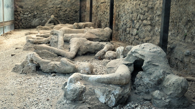 Pompeii plaster casts