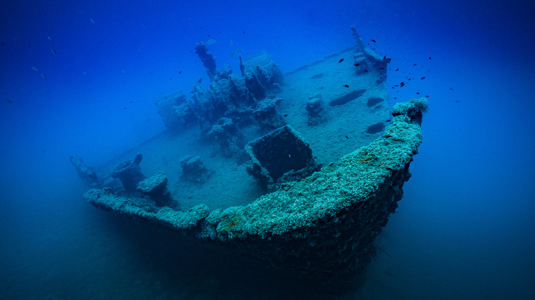 Underwater decaying shipwreck