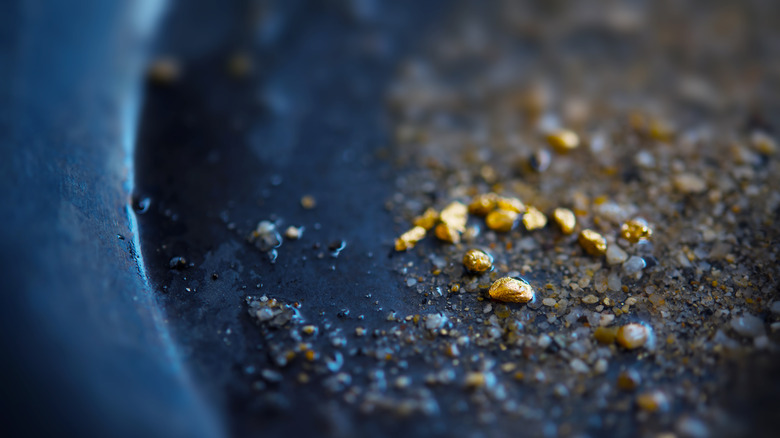 gold in a pan