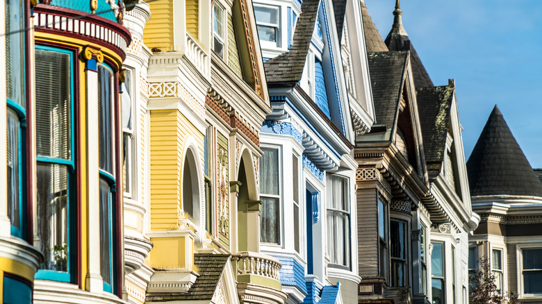 Close up of Painted Ladies
