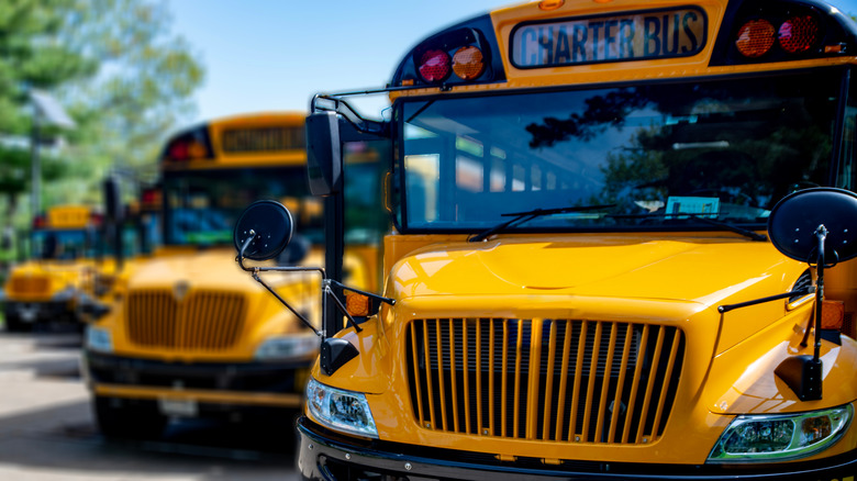 School busses