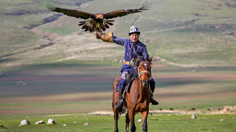 Eagle hunter and Golden Eagle riding a horse