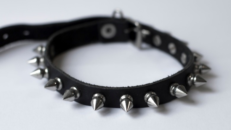 dog collar with spikes