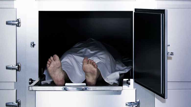 morgue chrome body feet