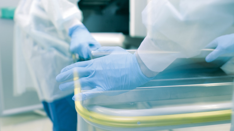 medical doctor hands morgue