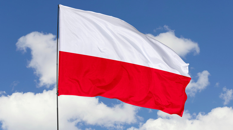 Polish flag 