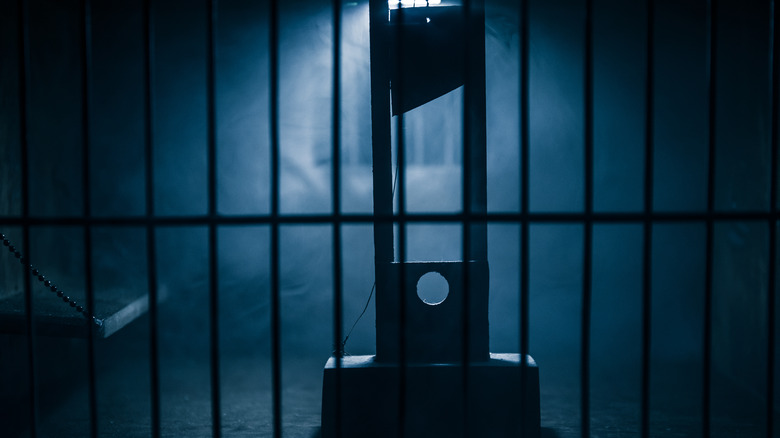 Guillotine model viewed through jail bars