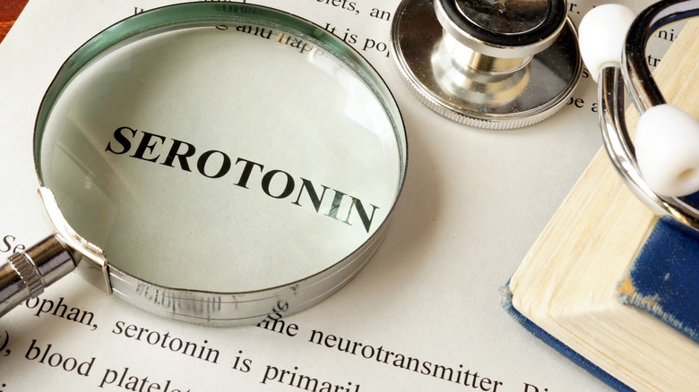magnifying glass on the word serotonin