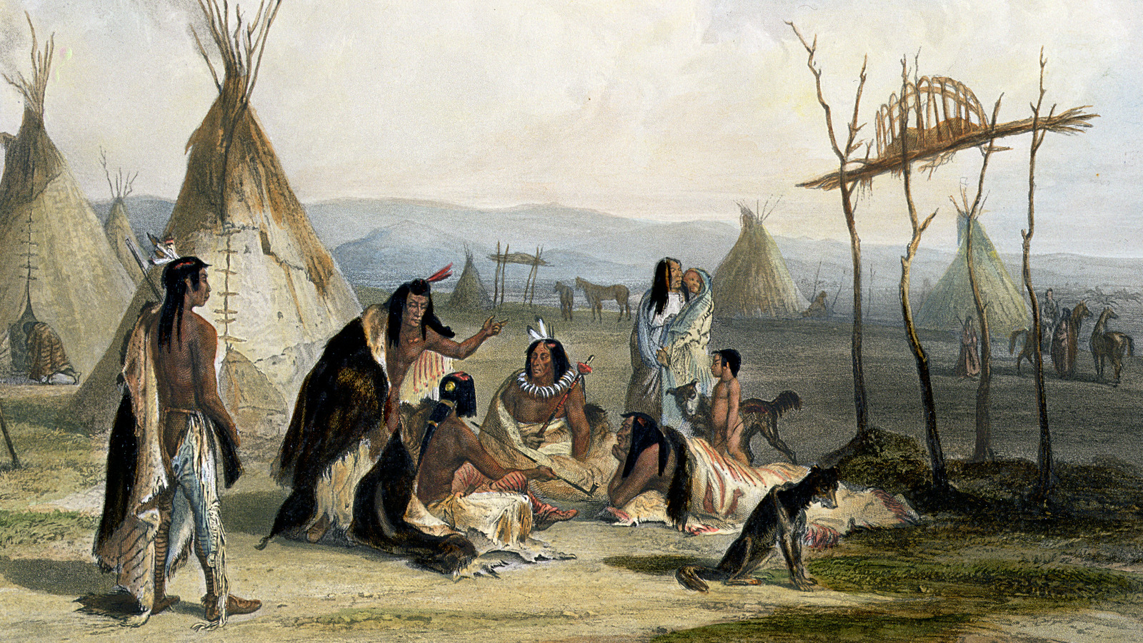What Is A Burial Tree?