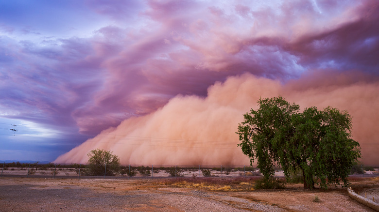 Haboob on the horizon