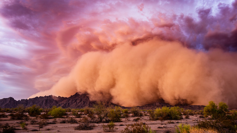 Haboob approaches