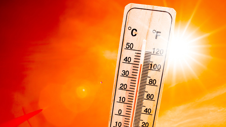 Thermometer