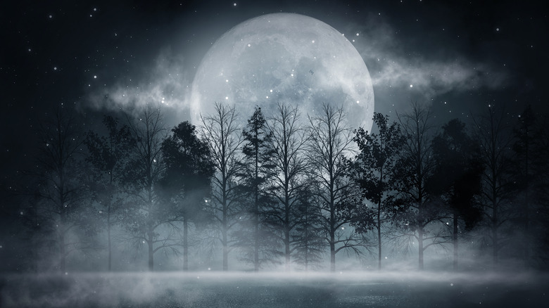 the moon in a winter scene