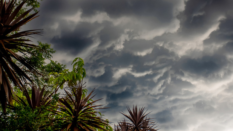 Photo of storm clouds 