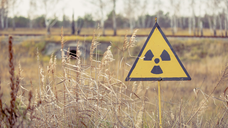 radiation sign in Red Forest, Chernobyl