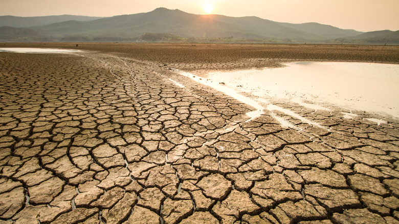 Dry lake
