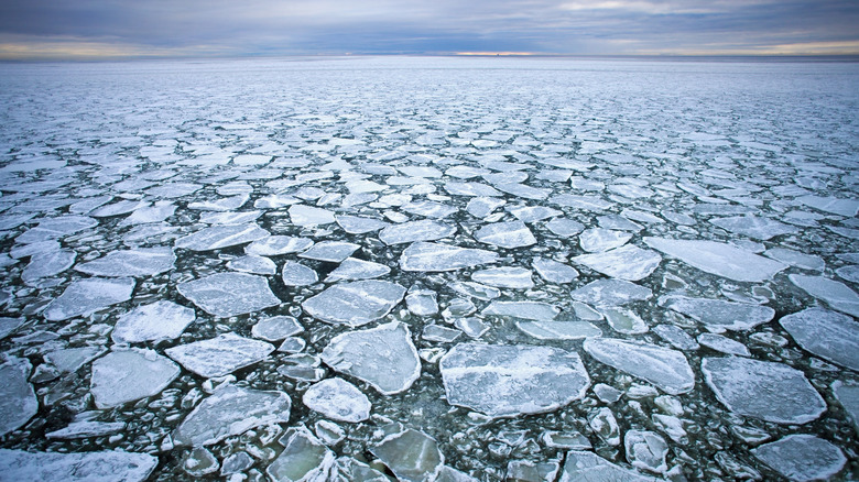 Water covered in shards of ice