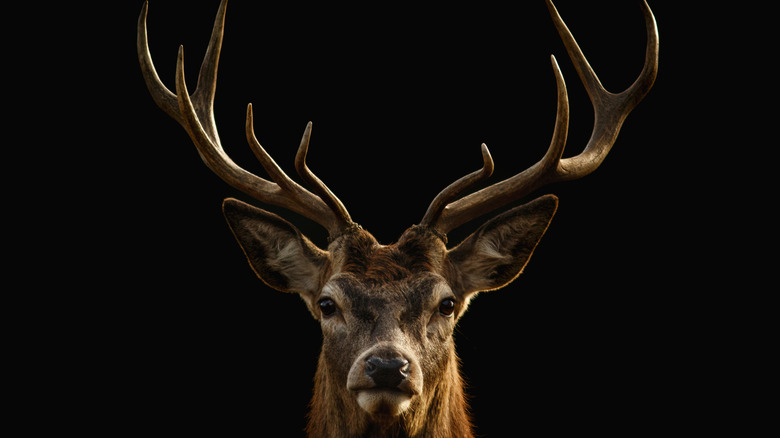Buck Moon with deer silhouette