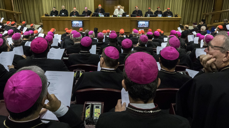Bishops face the pope