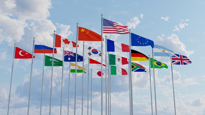 G20 member nation flags