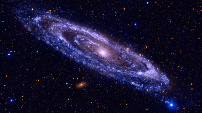 The Andromeda Galaxy