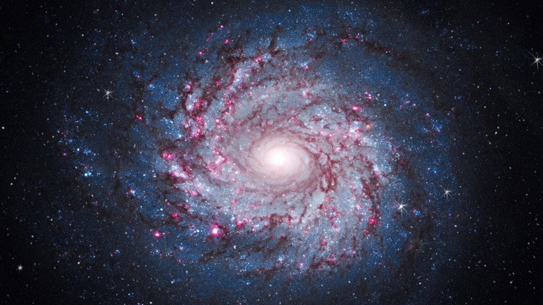 star-filled galaxy