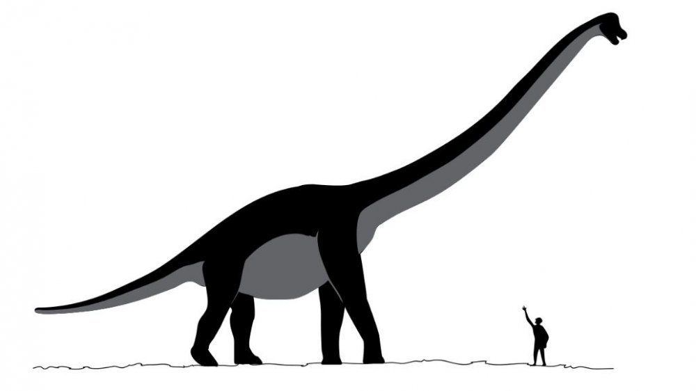 Sauroposeidon dinosaur