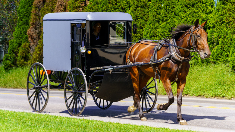 Amish buggy