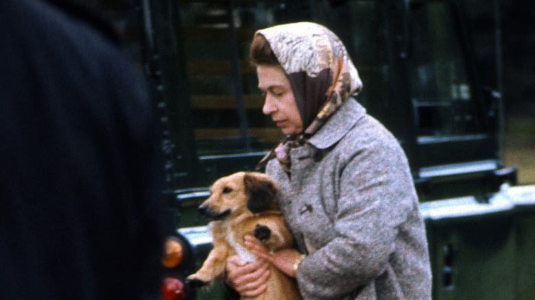 Queen Elizabeth II and corgi