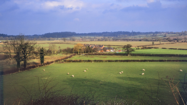 site of Battle of Bosworth Field