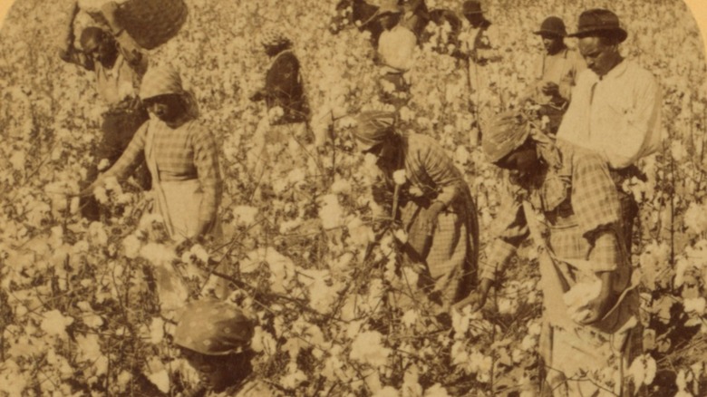 Cotton pickers 19th century