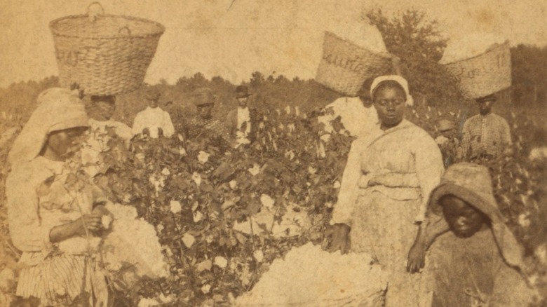 What It Was Really Like Picking Cotton In America