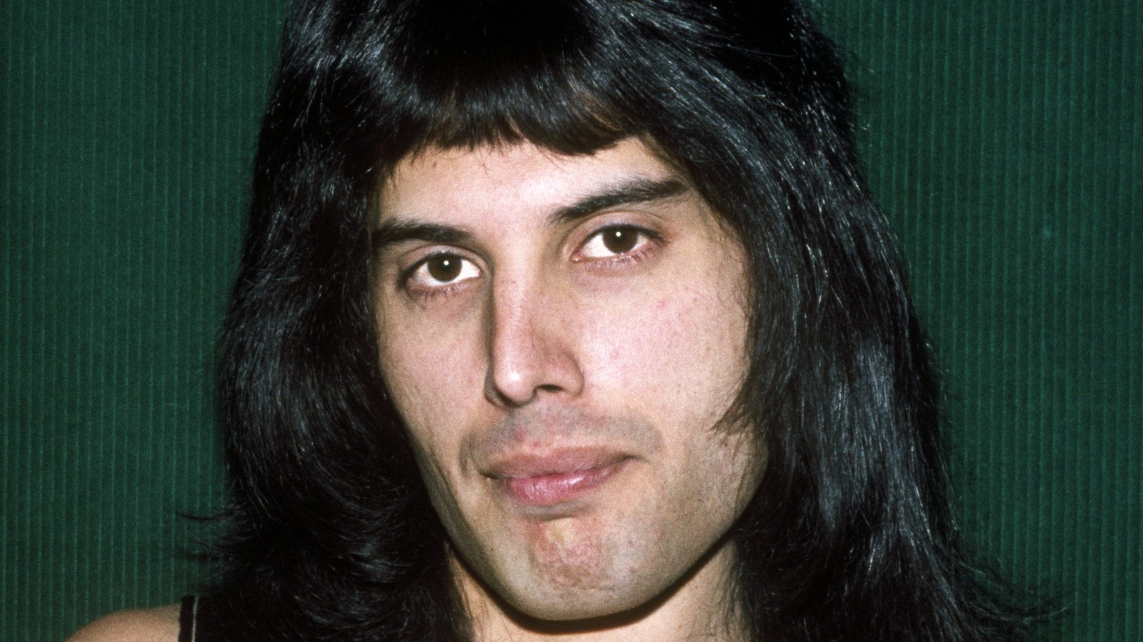 What do you call Freddie Mercurys hairdo in the early eighties  Quora
